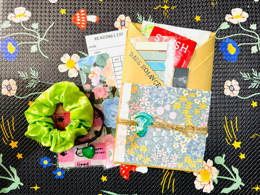 Blind Date with a Book | Book Lover Gift | Mystery Book | Gift for Readers