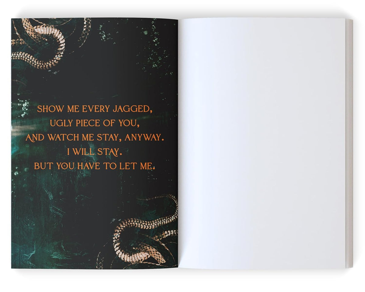 Twisted Pawn (Society of Villains, 2), L.J. Shen
