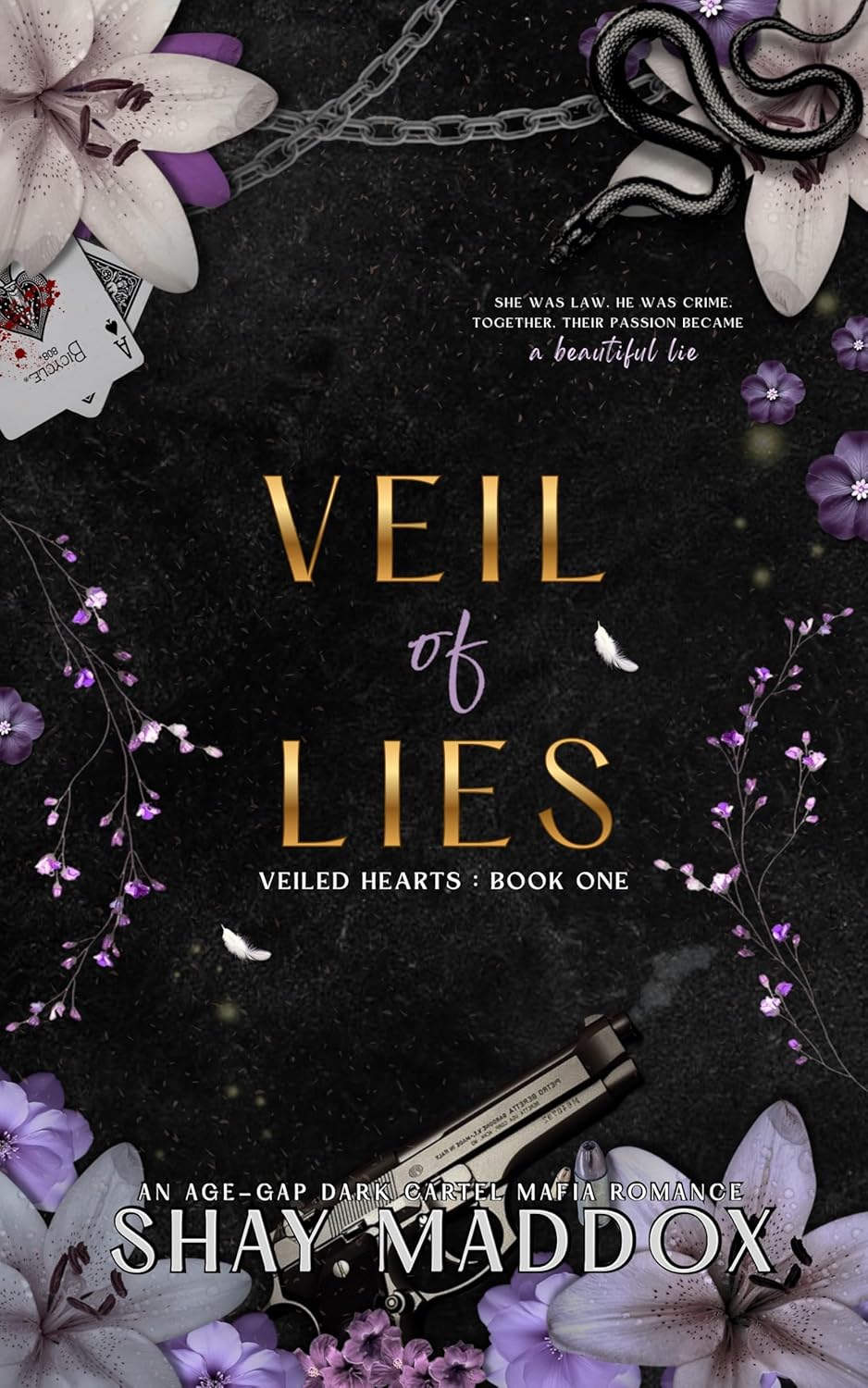 Veil of Lies (Veiled Hearts), Shay Maddox