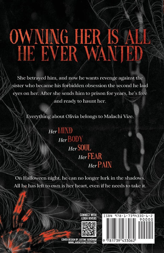 Little Stranger: A Dark Taboo Romance (The Web of Silence Duet #1) | Leigh Rivers | Paperback