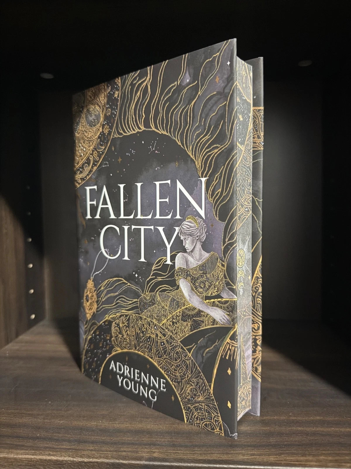 Fallen City, Adrienne Young | Fairyloot Edition