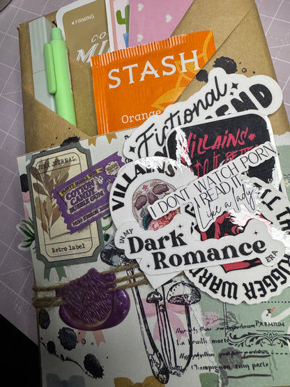 Blind Date with a Book | Book Lover Gift | Mystery Book | Gift for Readers