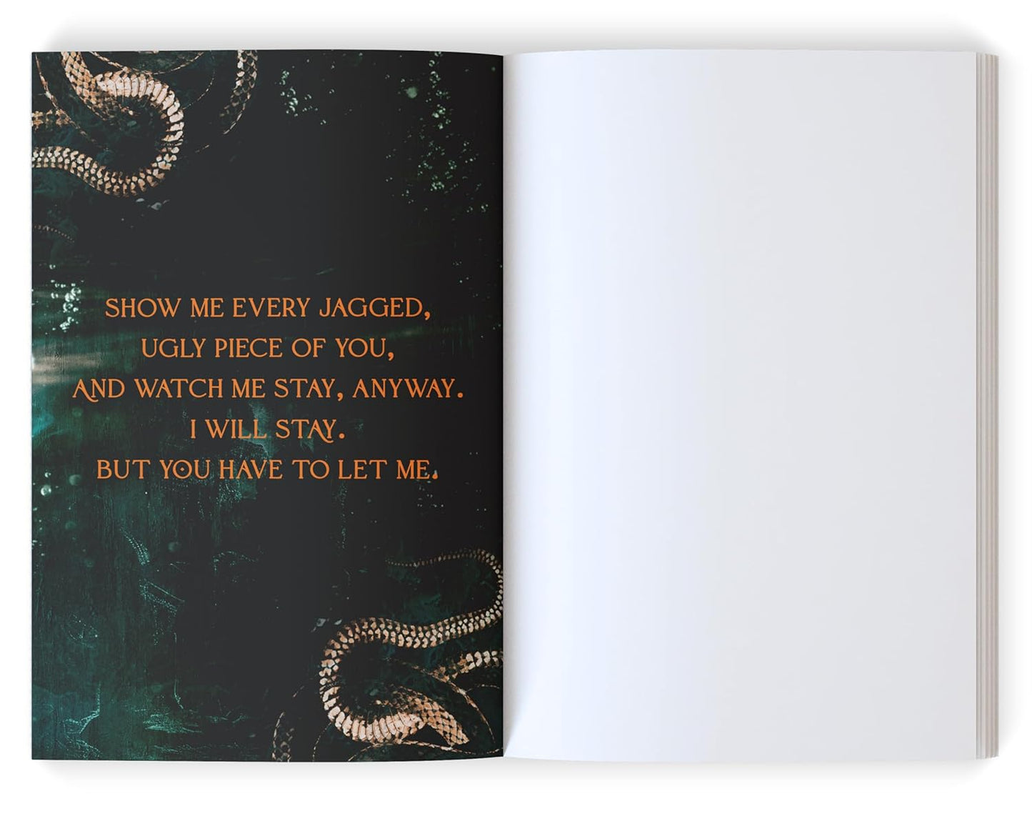 Twisted Pawn (Society of Villains, 2), L.J. Shen | 04.07.2026