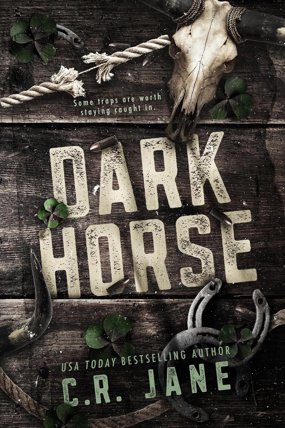 Dark Horse (Blackwood Cowboys), C.R. Jane