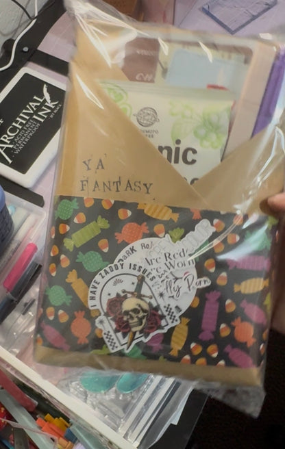 Blind Date with a Book | Book Lover Gift | Mystery Book | Gift for Readers