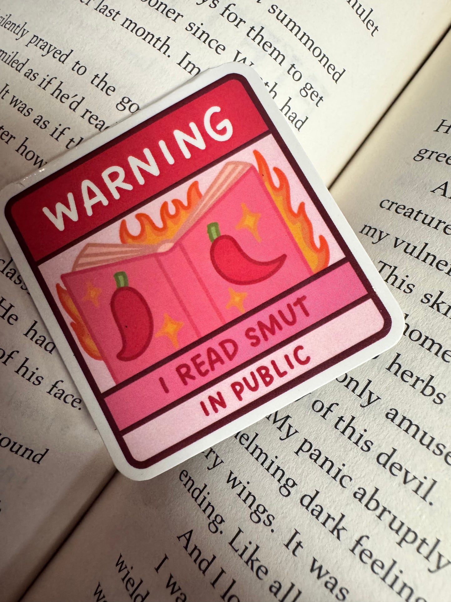 I Read Smut In Public Magnetic Bookmark