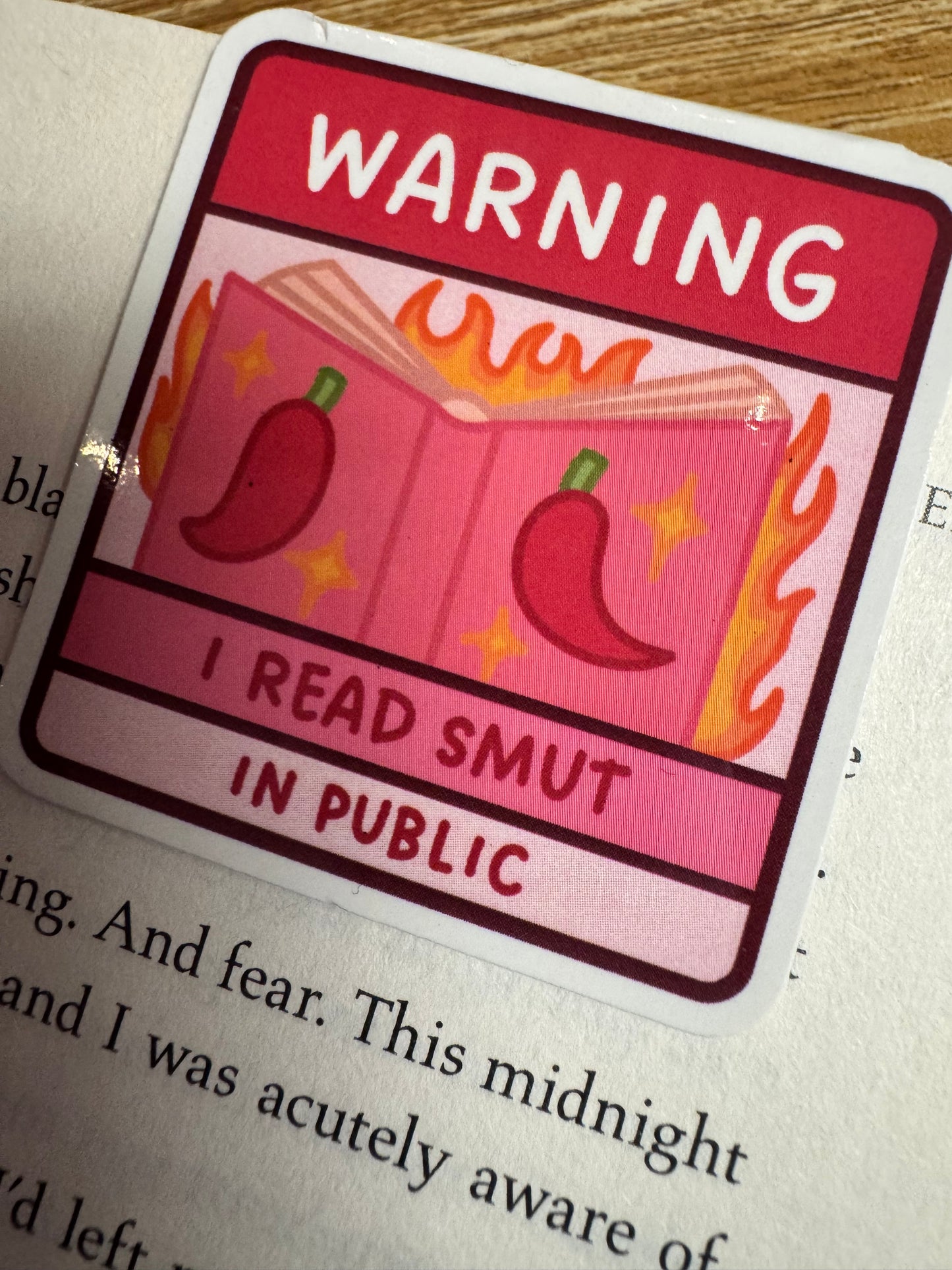 I Read Smut In Public Magnetic Bookmark